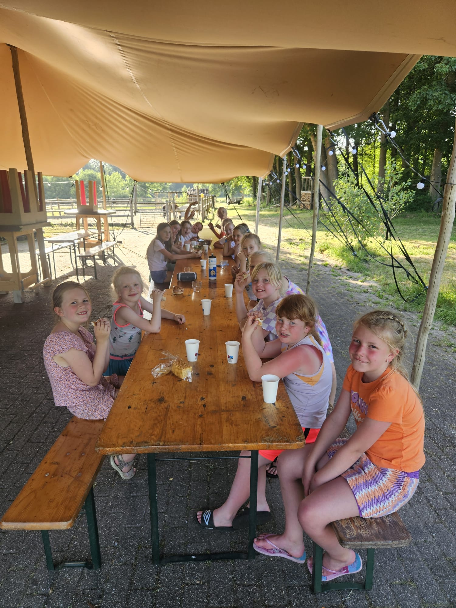 CMV Dolfijn Beachvolleybal Kamp 2025