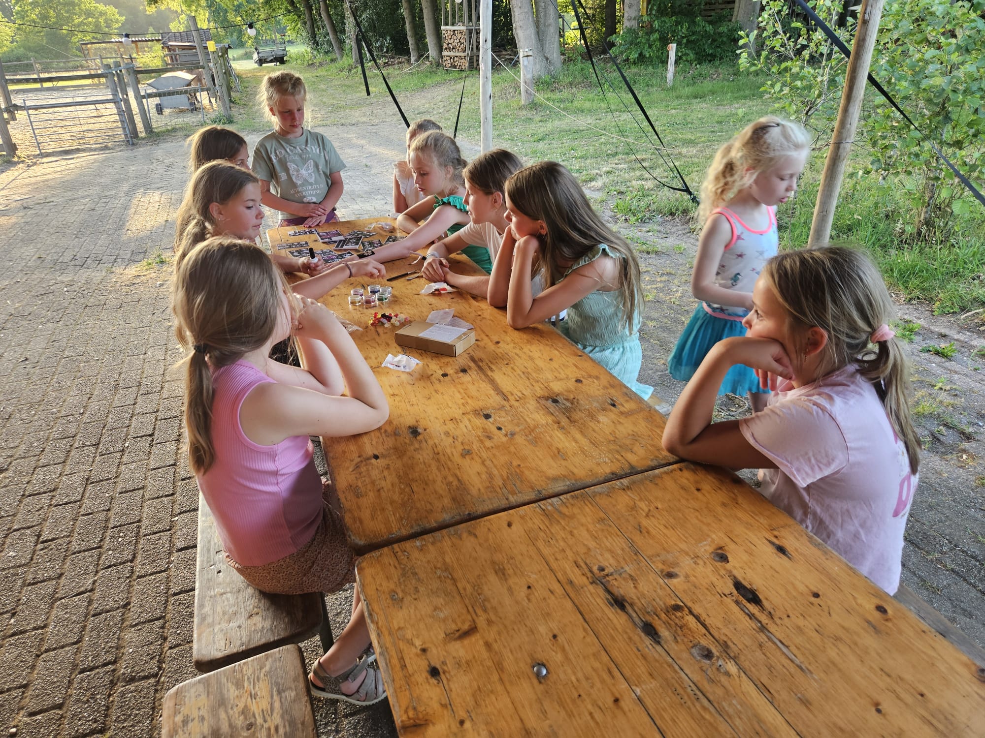 CMV Dolfijn Beachvolleybal Kamp 2025